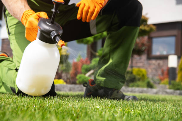 Professional Pest Control in Beaufort, NC