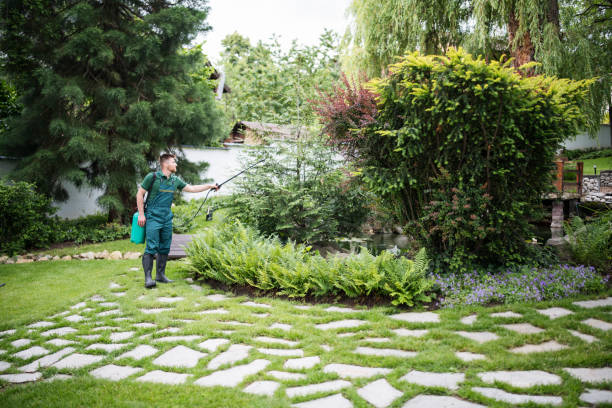 Best Affordable Exterminators  in Beaufort, NC