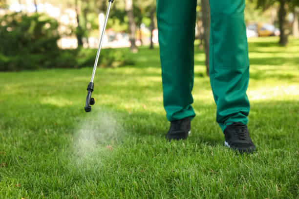 Best Pest Removal Services  in Beaufort, NC