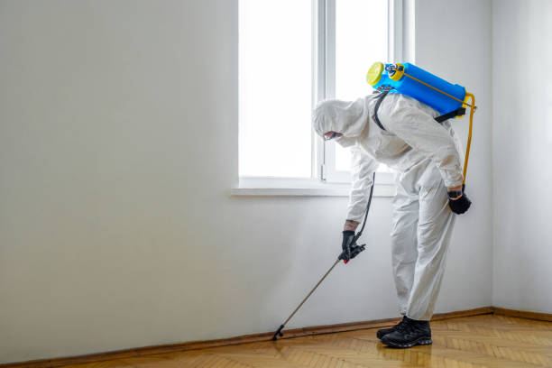 Best Pest Prevention Services  in Beaufort, NC