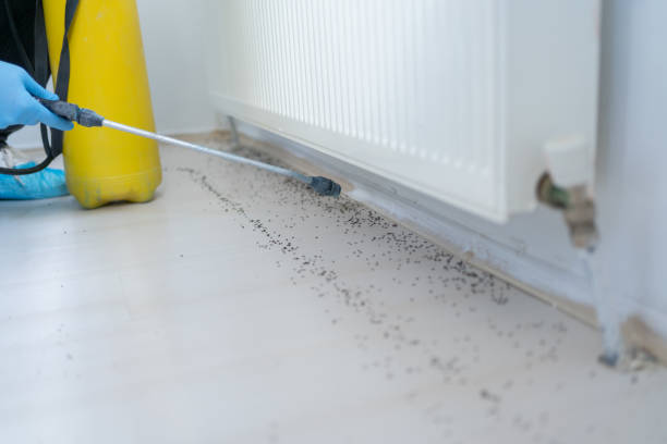 Best Residential Pest Control  in Beaufort, NC