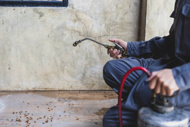 Best Best Pest Control Companies  in Beaufort, NC